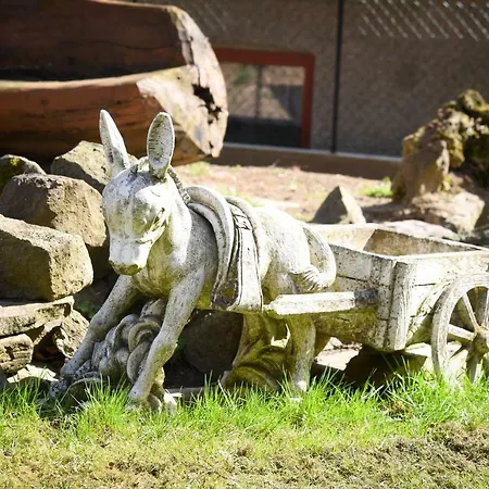 U Manisov Kır Evi Laskar
