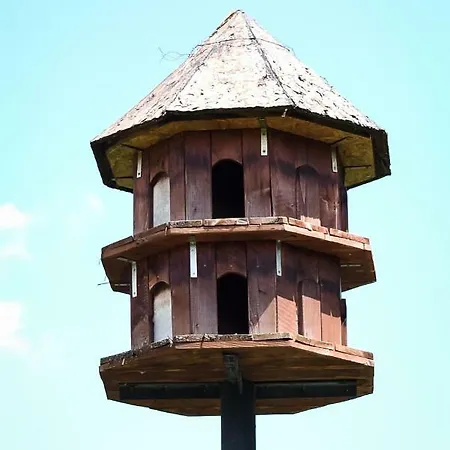 Kır Evi U Manisov Laskar