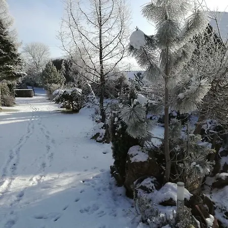 Kır Evi U Manisov *