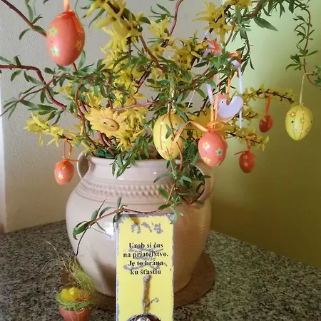 U Manisov Kır Evi Laskar