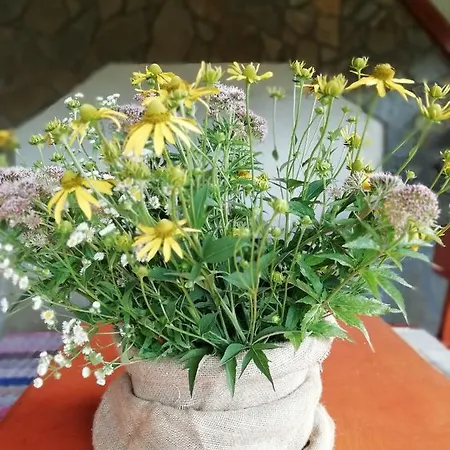 Kır Evi U Manisov *