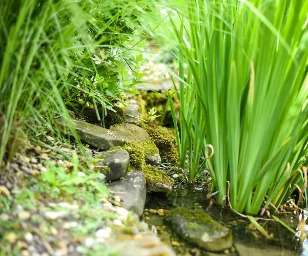 U Manisov בית כפרי