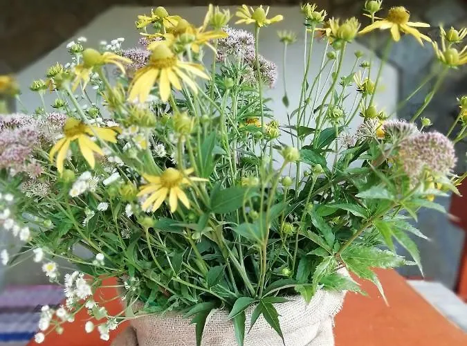 בית כפרי U Manisov *