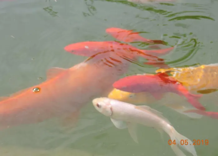 בית כפרי U Manisov *